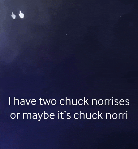 Chuck Norris GIF