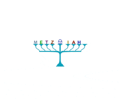 Happy Hanukkah GIF by Metziahs