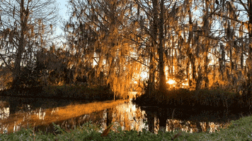 200.gif?cid=fc005b08636d12d9b77985690c0e14861b10be908e5c3a5f&rid=200.gif&ct=g