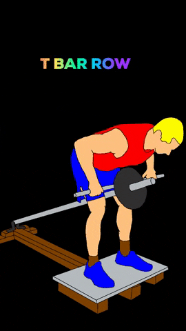 t bar rows gif
