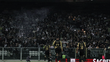 Fans GIF by Sporting CP