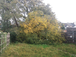 Nottingham GIF