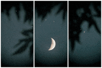 Moon GIFs