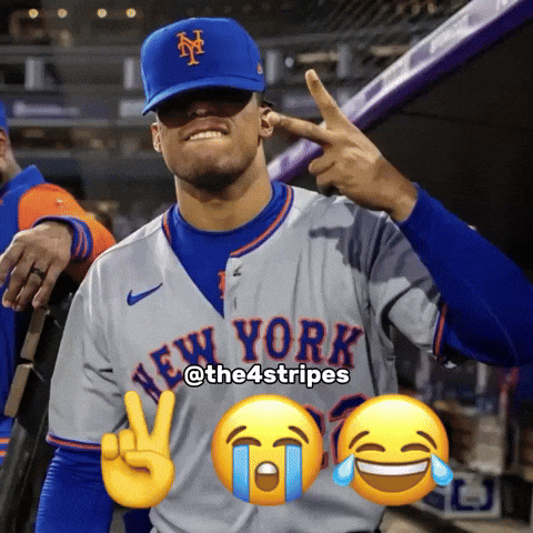 New York Mets Baseball GIF