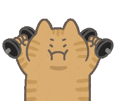 Sport Check In Sticker