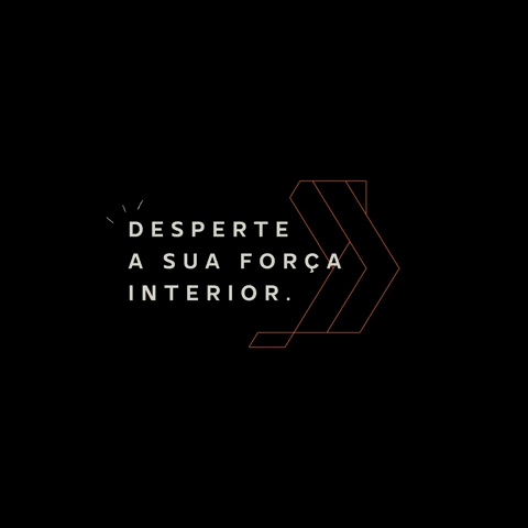 Stein Investimentos Imobiliários GIF
