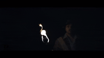 Indiana Jones Video GIF by TheFactory.video