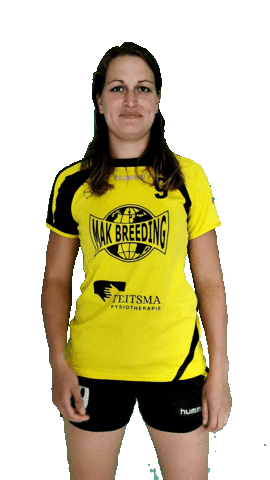 HV Geel-Zwart Sticker