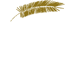 Palmapoke Sticker