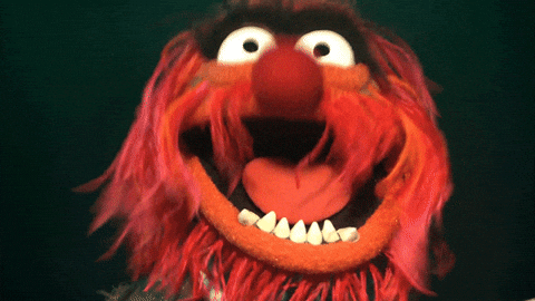 Animal Muppet GIFs - Find & Share on GIPHY