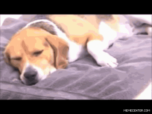 walking the dog urban dictionary