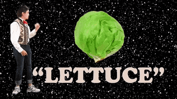 English Wtf GIF by 5-Second Films