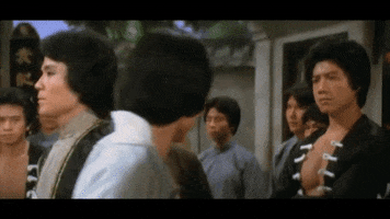 meh martial arts GIF by Shaw Brothers