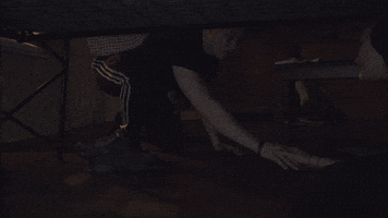 ellismonk5  GIF