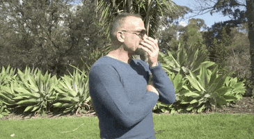 200.gif?cid=fc005b088dad12aea533a60b0726a540f135eb5ad316ab22&rid=200.gif&ct=g