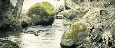 spring river GIF by Jerology