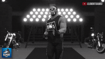 Hulk Hogan GIF by ElementGames