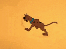 New Scooby Doo Movies Scooby Doo animated GIF
