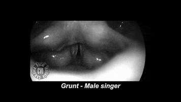 cvi complete vocal technique GIF