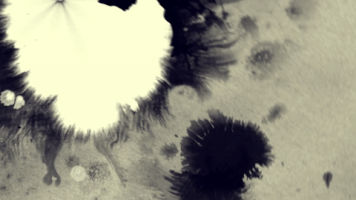 mariere animation gif motion harry potter GIF