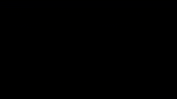 forester  GIF