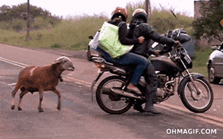 Attack Motorcycle GIF
