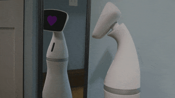 aqueelgogostarters  GIF