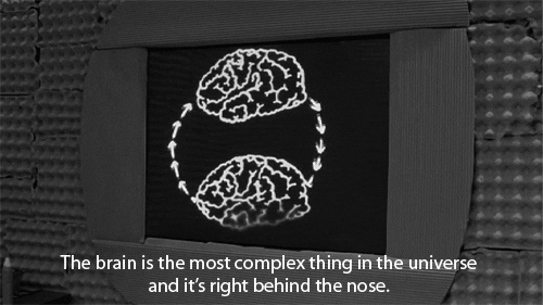 source.gif