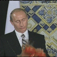 putin GIF