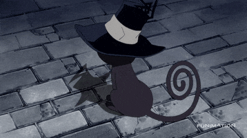 soul eater cat GIF by Funimation