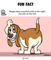 Funny-animals-gif GIFs - Get the best GIF on GIPHY