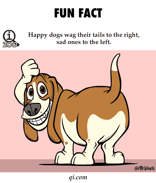 Featured image of post The Best 9 Animated Moving Happy Dog