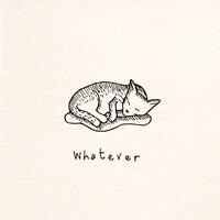 Cat Whatever GIF by hoppip