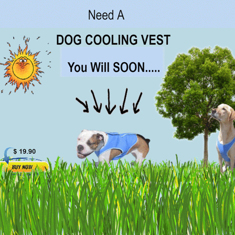 HRS dog cooling mat dog cooling vest summer dog cooling GIF