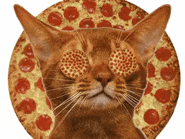 pizza yes GIF