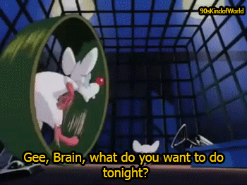 Image result for FUNNY MAKE GIFS MOTION IMAGES OF PINKY AND THE BRAIN FREAKING