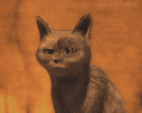 shocked puss in boots GIF