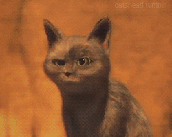 Shocked Puss In Boots GIF - Find & Share on GIPHY