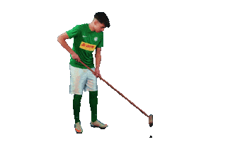 Go For It Soccer Sticker by HSC Hannover