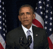100.gif?cid=20e14a2a1gtstwithiq6ut2xafnasc0dxojzyfmn1b5mcojd&rid=100.gif&ct=g