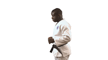 Martial Arts Fun Sticker by Paris Saint-Germain Judo