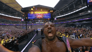 All In Wrestling GIF