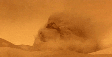 blowing sand GIF