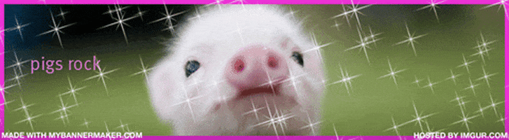 Pigs GIFs - Find & Share on GIPHY