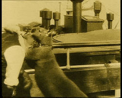 silent film archive GIF by Beeld en Geluid Labs