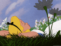 alice in wonderland disney GIF alice in wonderland disney GIF
