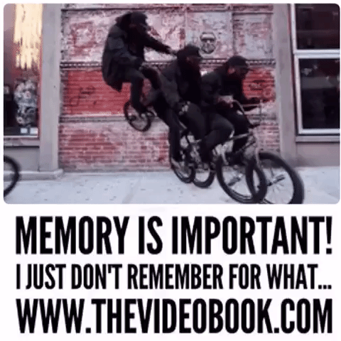 bike GIF by The Videobook