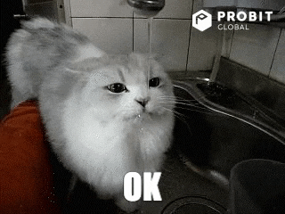 Globals-ok GIFs - Get the best GIF on GIPHY Globals-ok GIFs - Get the best GIF on GIPHY