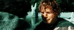 samwise gamgee GIF
