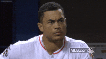 zoom out miami marlins GIF by MLB